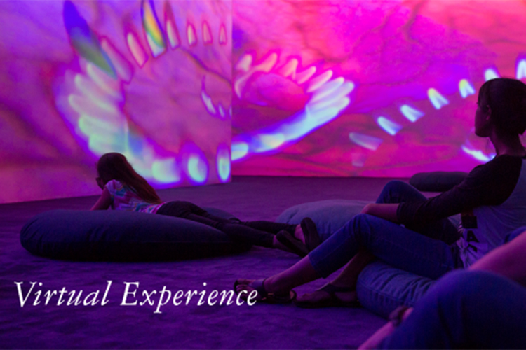 image of people watching art projected on screen in dark