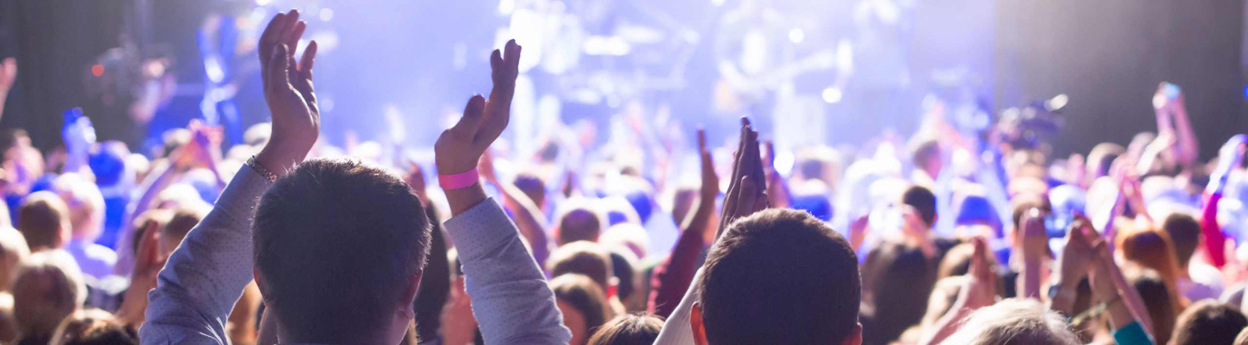people in crowd at a concert applauding